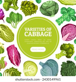 Cabbage Vegetable Banner Design with Crop Vector Template