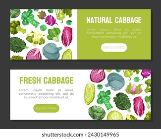 Cabbage Vegetable Banner Design with Crop Vector Template