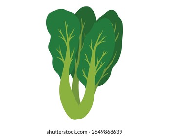 Clip-art de Desenho Animado de Repolho Vegetal