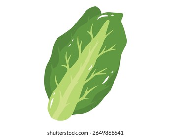Clip-art de Desenho Animado de Repolho Vegetal