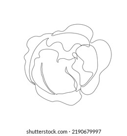 Cabbage vegetable in continuous line art drawing style. Cabbage plant minimalist black linear sketch isolated on white background. Vector one line