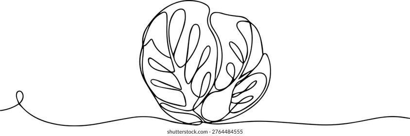 cabbage vegetable continuous one