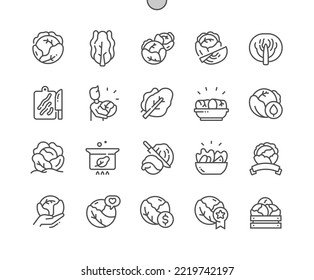 Cabbage vegetable. Farm market, vegetarian salad. Cooking, recipes and price. Food shop, supermarket. Pixel Perfect Vector Thin Line Icons. Simple Minimal Pictogram