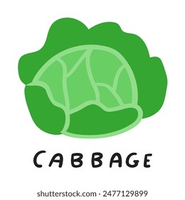 Cabbage. Vegetable. Flat vector design. Hand drawn illustration on white background.