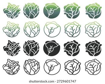 Cabbage vegetable food concept collection vector icon symbol template