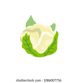 Cabbage Vegetable Healthy