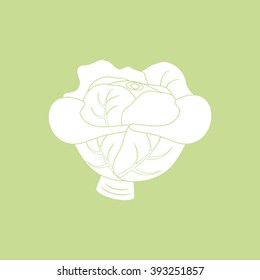Cabbage Vegetable Icon isolated on a green background. Vector illustration
