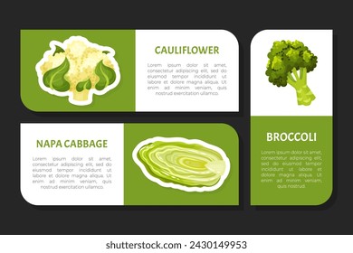 Cabbage Vegetable Label Design with Crop Vector Template