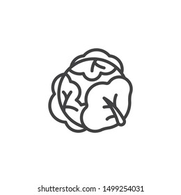 Cabbage vegetable line icon. linear style sign for mobile concept and web design. Cabbage with big leaves outline vector icon. Symbol, logo illustration. Vector graphics
