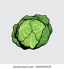 Vegetal de repolho Simples ilustração isolada de desenho animado com um fundo claro