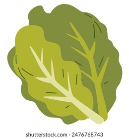 Cabbage vegetable vector illustration, cabbage flat icon design, cartoon kubis or kol clip art, gobis or kobis image, healthy green leafy vegetables