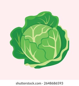 Ilustração vetor vegetal de repolho, ícone isolado vegetariano simples
