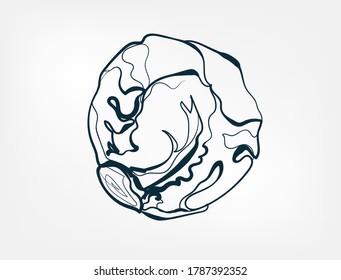 Kohl-Gemüsesektor, 1-Linien-Kunst, einzelne Illustration