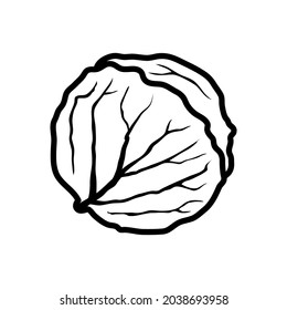 cabbage - vegetables icon vector design template