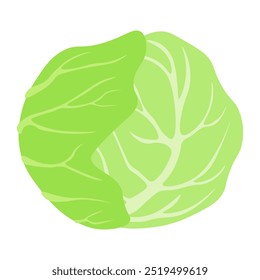 Ilustración vectorial de icono de verduras de repollo