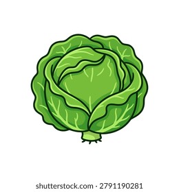 Cabbage in white background vector design, Cabbage vector design