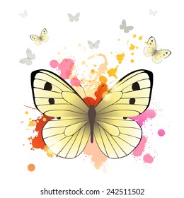 Mariposa blanca de col sobre fondo brillante