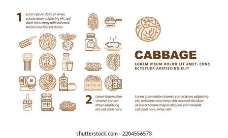 cabbage white green vegetable landing web page header vector. salad leaf, garden plant, red food farm, fresh cut, head organic agriculture lettuce cabbage white green vegetable Illustration