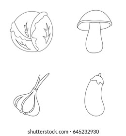Cabbage white, mushroom forest, garlic useful, eggplant. Vegetables set collection icons in outline style vector symbol stock illustration web.