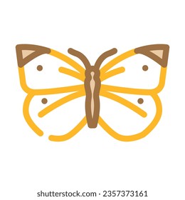 cabbage white summer color icon vector. cabbage white summer sign. isolated symbol illustration