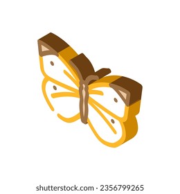 cabbage white summer isometric icon vector. cabbage white summer sign. isolated symbol illustration