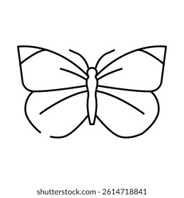 cabbage white summer line icon vector. cabbage white summer sign. isolated contour symbol black illustration