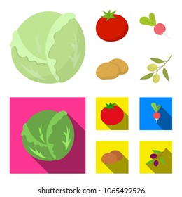 Cabbage white, tomato red, rice, potatoes. Vegetables set collection icons in cartoon,flat style vector symbol stock illustration web.