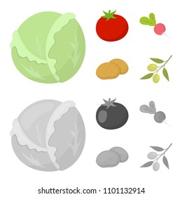 Cabbage white, tomato red, rice, potatoes. Vegetables set collection icons in cartoon,monochrome style vector symbol stock illustration web.