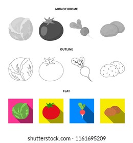 Cabbage white, tomato red, rice, potatoes. Vegetables set collection icons in flat,outline,monochrome style vector symbol stock illustration web.
