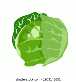 Cabbage is a white whole element on a white background. isolated