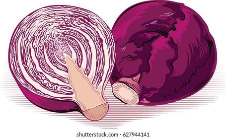 Cabbage whole cap, and one cut in half.