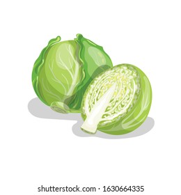 Cabbages group in cartoon trendy style. Healthy food. Farm fresh veggie just from the garden. Organic eco vegetable for salads. Vector illustration isolated on white background.