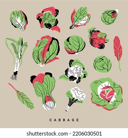 Cabbages vector retro set isolated on beige background. Broccoli, romaine lettuce, cauliflower, brussels sprout, leaf. Harvest vegetable vintage flat style illustration