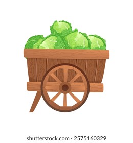 Cabbages in wheelbarrow in flat design. Vector illustration isolated.