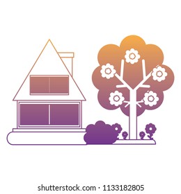 cabin house design