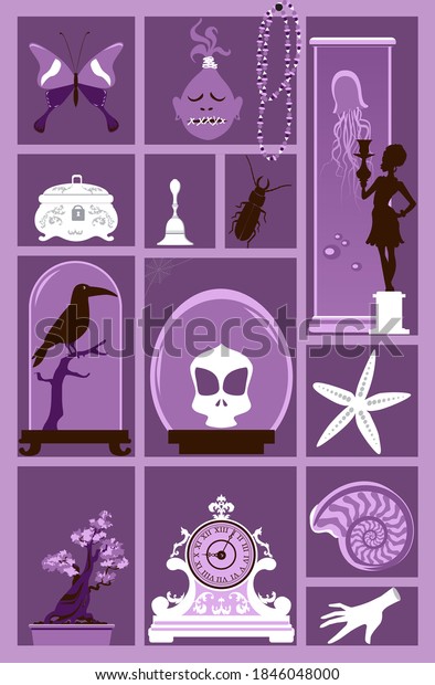 Cabinet of curiosities with a\
collection of weird and exotic objects, EPS 8 vector\
illustration