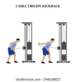 Cable triceps kickback exercise illustration on the white background. Vector illustration