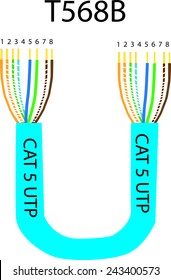 Cable Utp Network Cat 5 T568b Stock Vector (Royalty Free) 243400573 ...