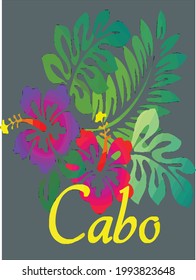 Cabo San Lucas Beach Tropical Flower Surf Vacay design vector illustration for use in design and print poster canvas