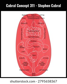 Cabral Concept 311 - Stephen Cabral Vector Diagram