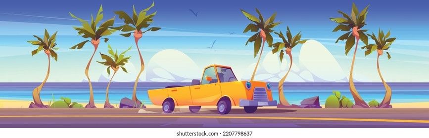 Cabriolet drive on road on sea coast with sand beach and palm trees. Summer tropical landscape of ocean shore, asphalt highway and retro car, vector cartoon illustration