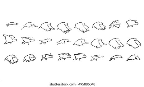 Cacadu Fly framed Sketch Study, hand-drawn vector Outline Artwork