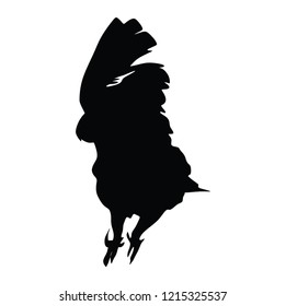 Cacadu parrot vector isolated on white background illustration. Beautiful Pet Parrot.