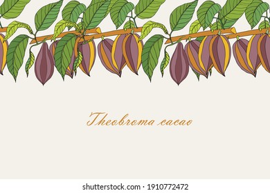 Cacao bean tree branch horizontal seamless background on beige art design stock vector illustration for web, for print, for packing design, for product design