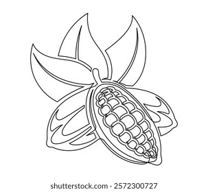 Cacao beans branch with leaves line isolated on white background. Simple silhouette of vegetable. Hand drawn cacao beans branch outline. Vector illustration