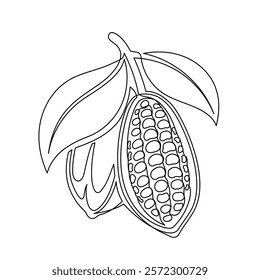 Cacao beans branch with leaves line isolated on white background. Simple silhouette of vegetable. Hand drawn cacao beans branch outline. Vector illustration