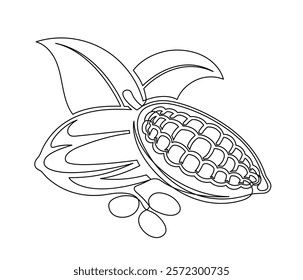 Cacao beans branch with leaves line isolated on white background. Simple silhouette of vegetable. Hand drawn cacao beans branch outline. Vector illustration