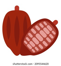 cacao beans flat clipart vector illustration