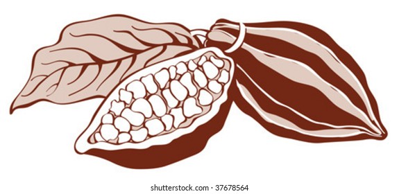 Cacao beans monochrome illustration on white background