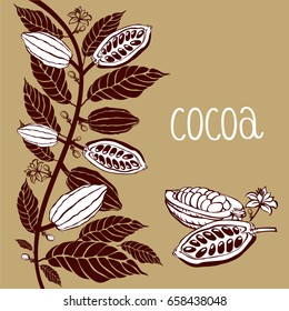 Cacao beans plant